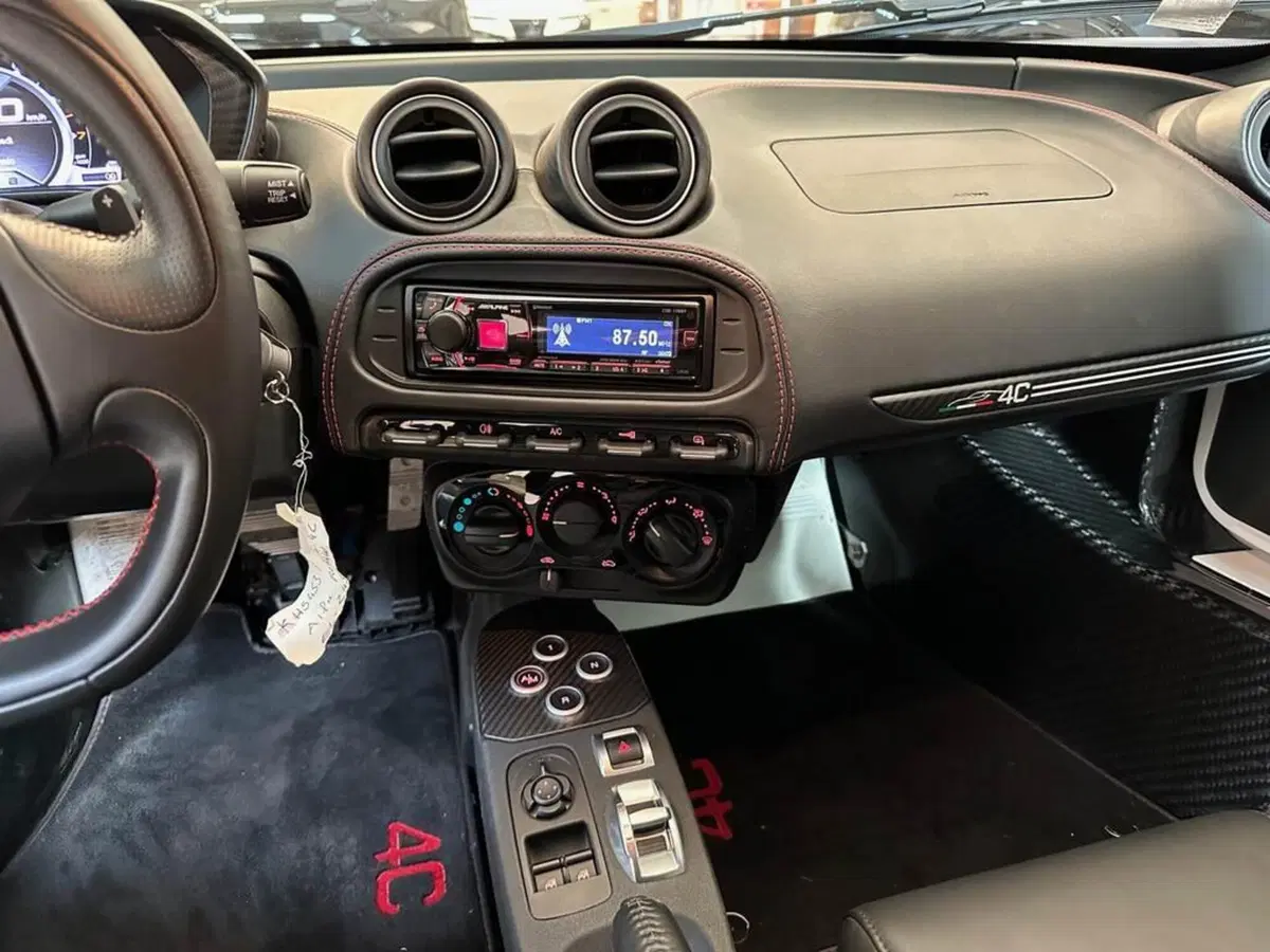 Alfa Romeo 4C Coupé usata a Sondrio (12)