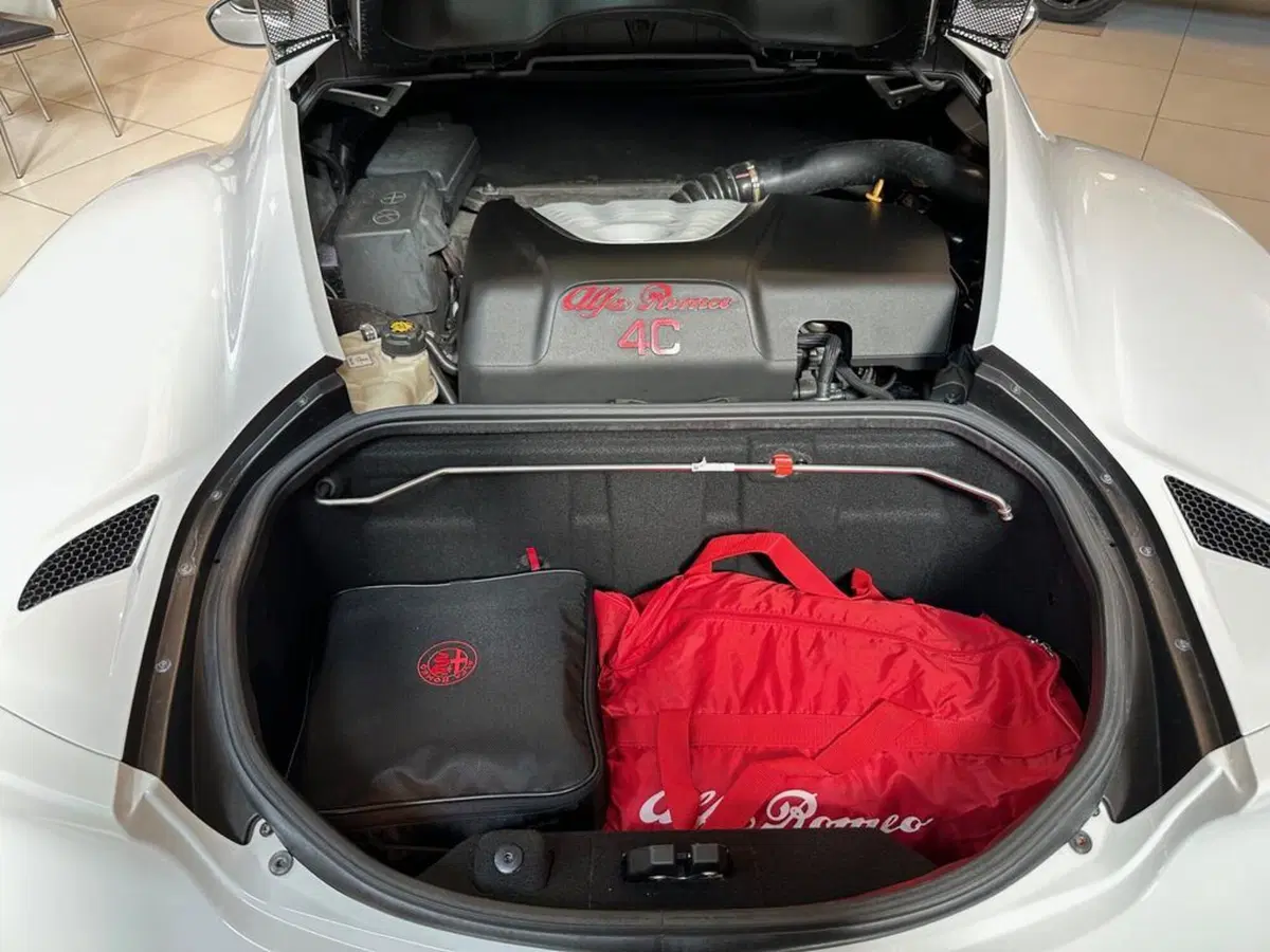 Alfa Romeo 4C Coupé usata a Sondrio (14)