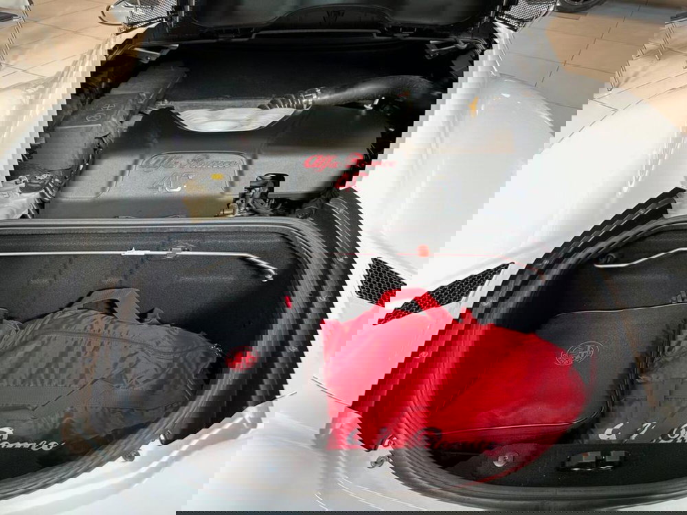 Alfa Romeo 4C Coupé usata a Sondrio (14)