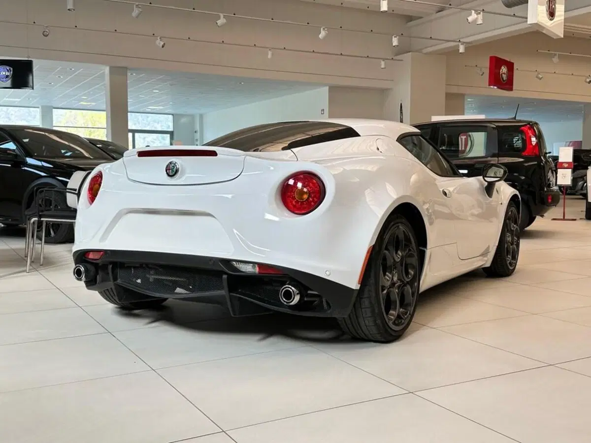 Alfa Romeo 4C Coupé usata a Sondrio (5)
