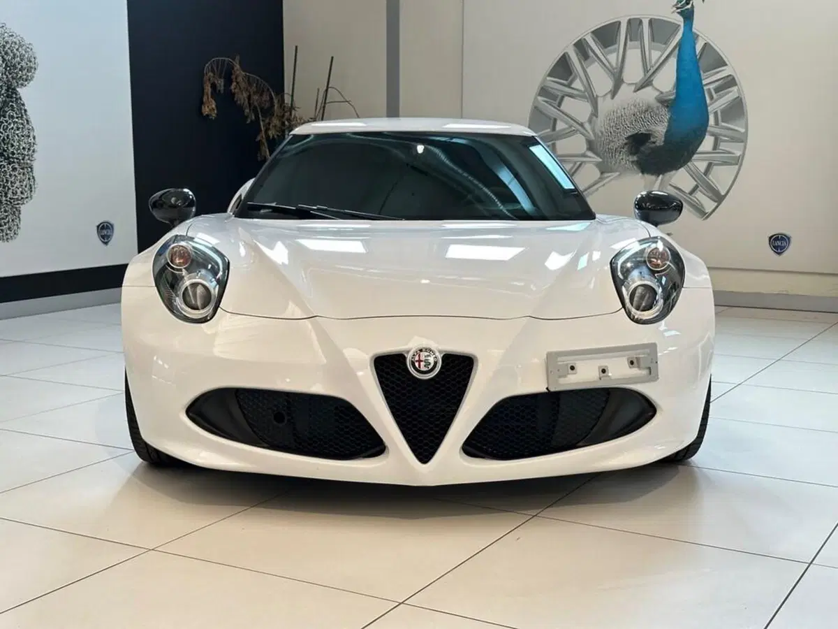 Alfa Romeo 4C Coupé usata a Sondrio (8)