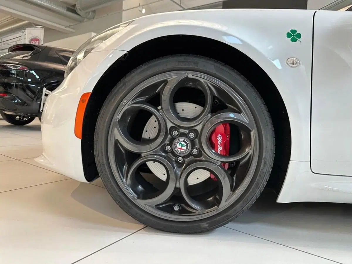 Alfa Romeo 4C Coupé usata a Sondrio (9)