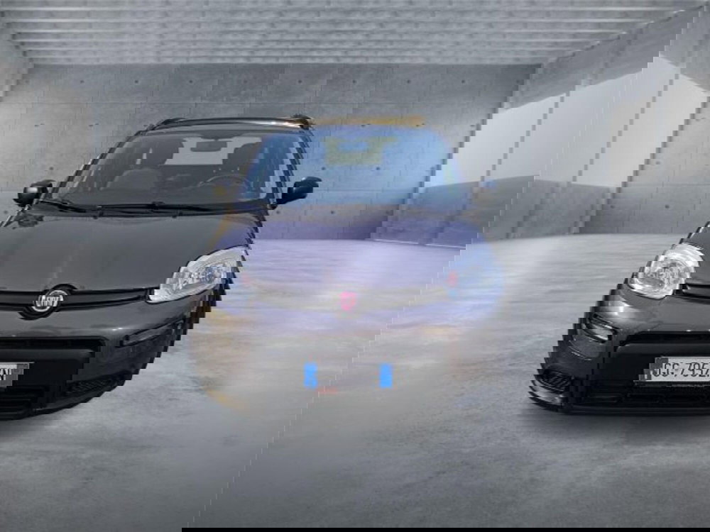 Fiat Panda usata a Bari (2)