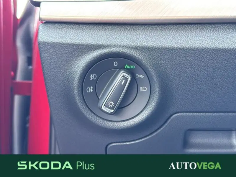 Skoda Kamiq usata a Vicenza (13)