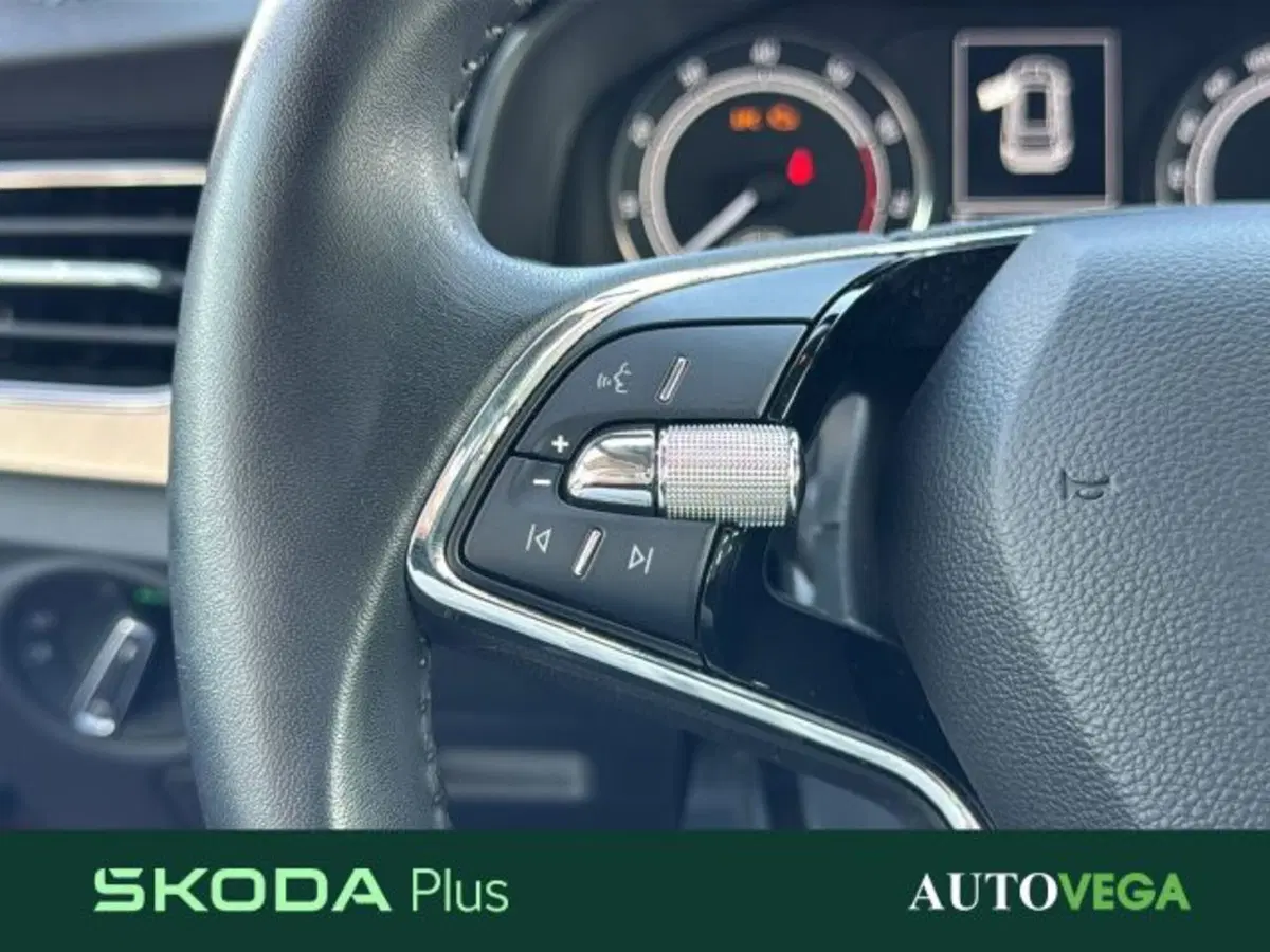 Skoda Kamiq usata a Vicenza (18)