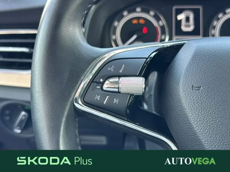 Skoda Kamiq usata a Vicenza (18)