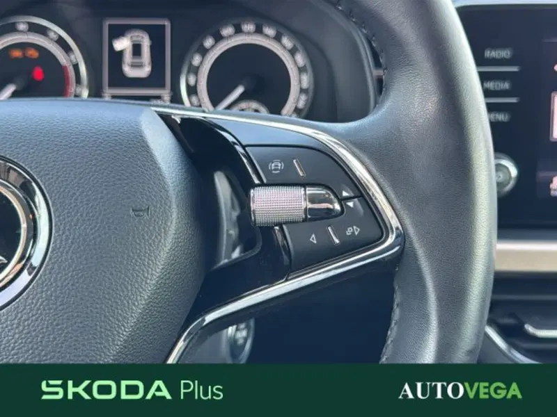 Skoda Kamiq usata a Vicenza (19)