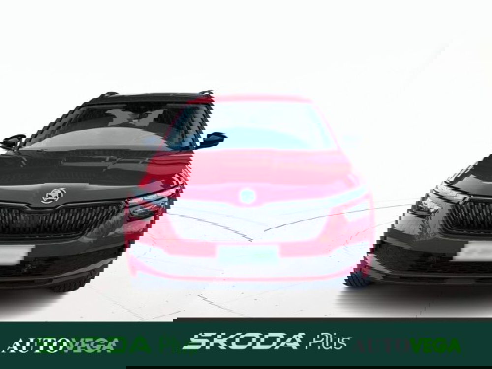 Skoda Kamiq usata a Vicenza (2)