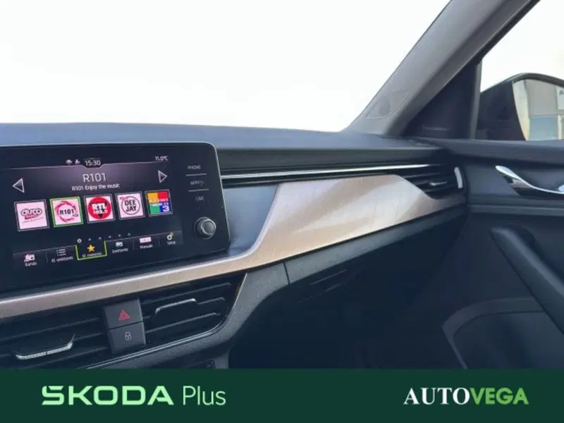 Skoda Kamiq usata a Vicenza (20)