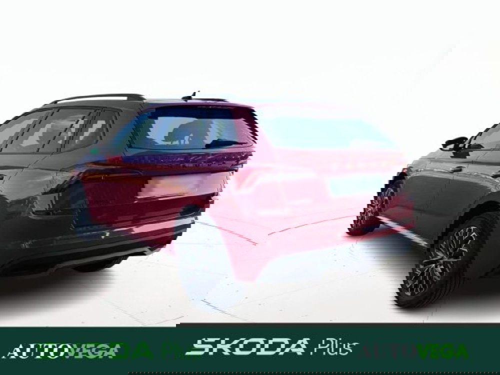 Skoda Kamiq usata a Vicenza (5)