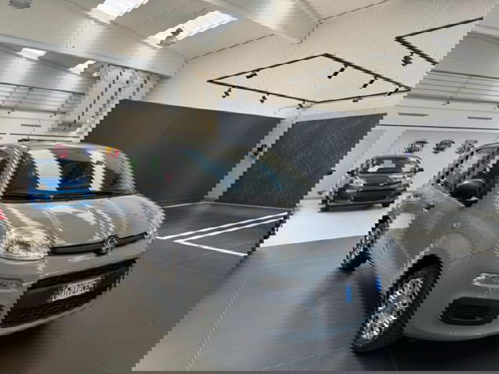 Fiat Panda usata a Vercelli