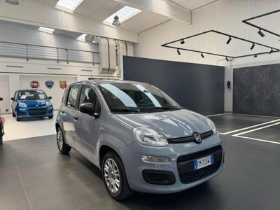 Fiat Panda 1.2 Easy del 2018 usata a Vercelli