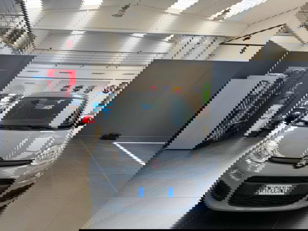 Fiat Panda usata a Vercelli (2)