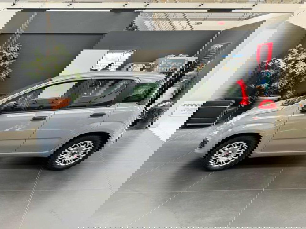 Fiat Panda usata a Vercelli (4)