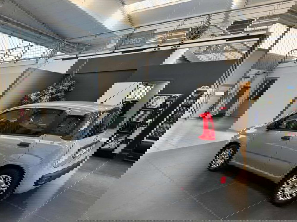 Fiat Panda usata a Vercelli (5)