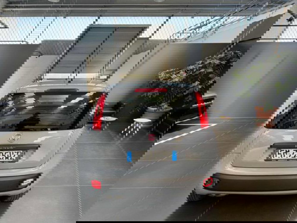 Fiat Panda usata a Vercelli (6)