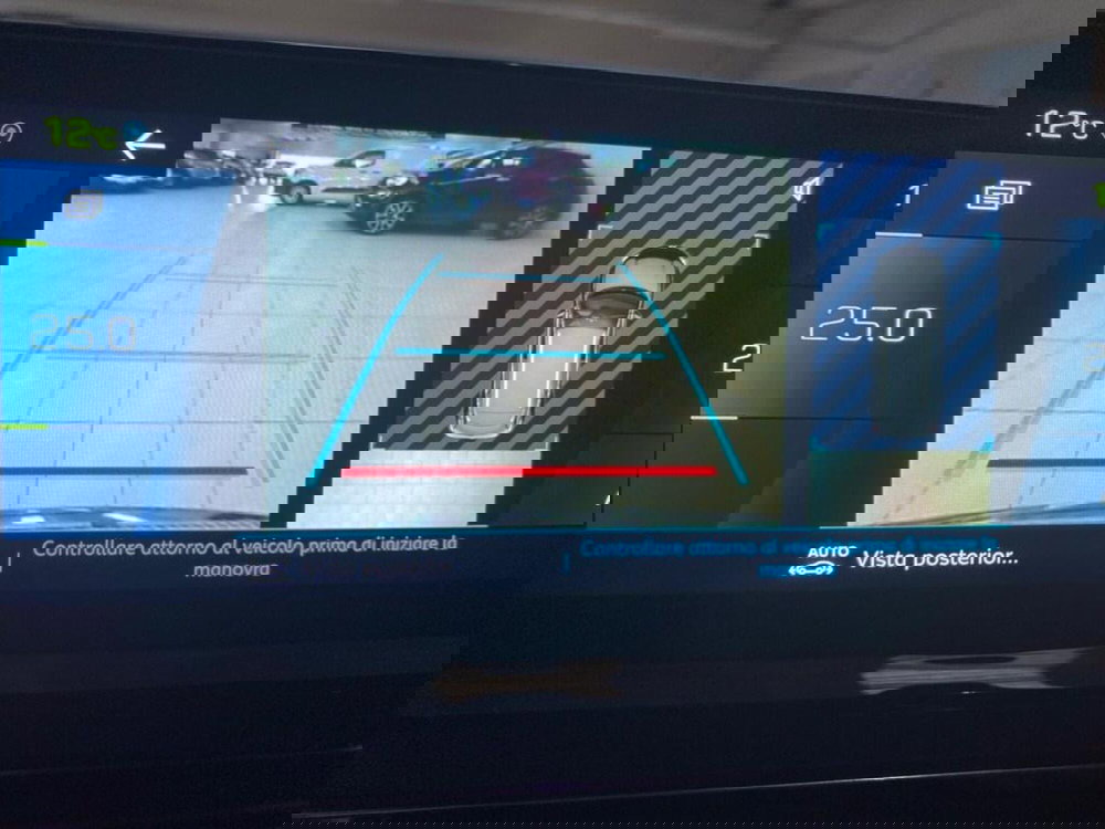 Peugeot 3008 usata a Torino (11)