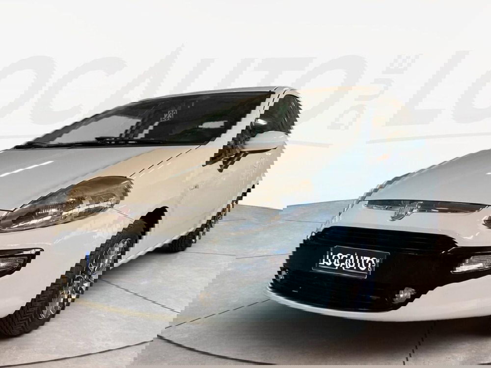 Fiat Punto Evo usata a Torino