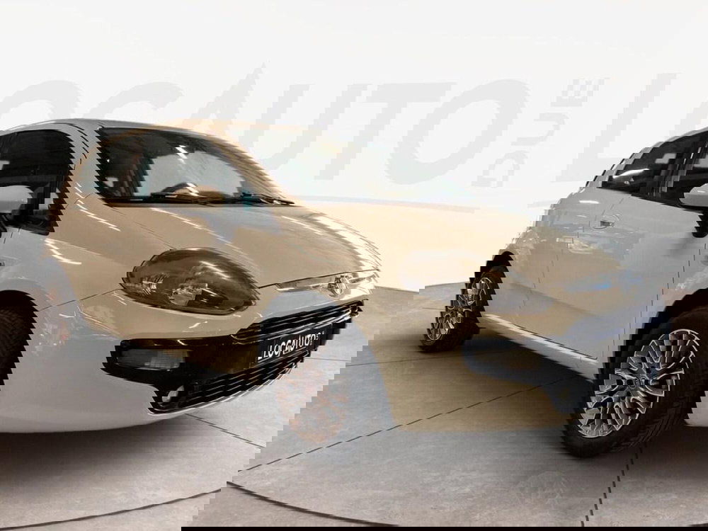 Fiat Punto Evo usata a Torino (2)