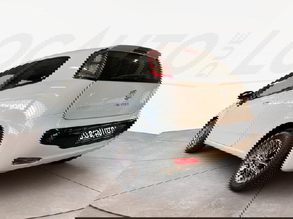 Fiat Punto Evo usata a Torino (4)