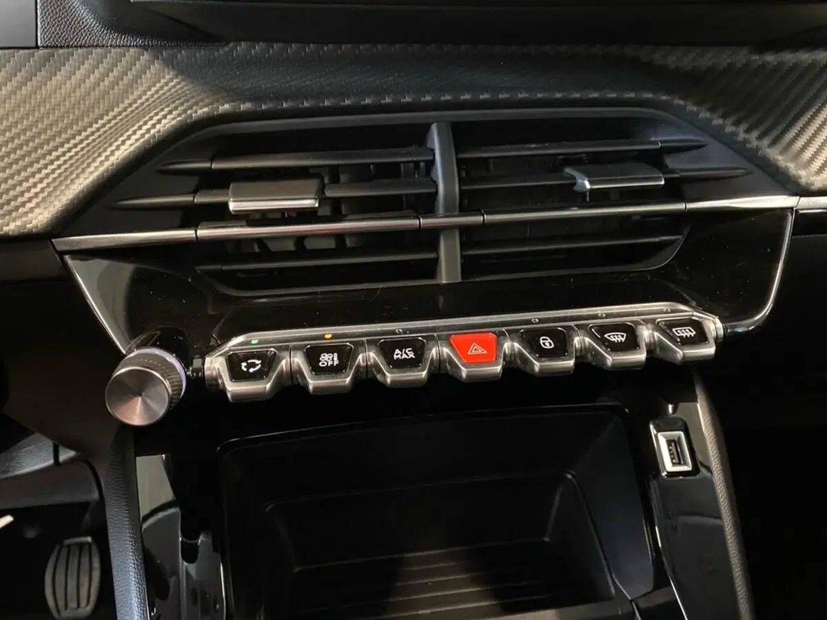 Peugeot 208 usata a Torino (11)