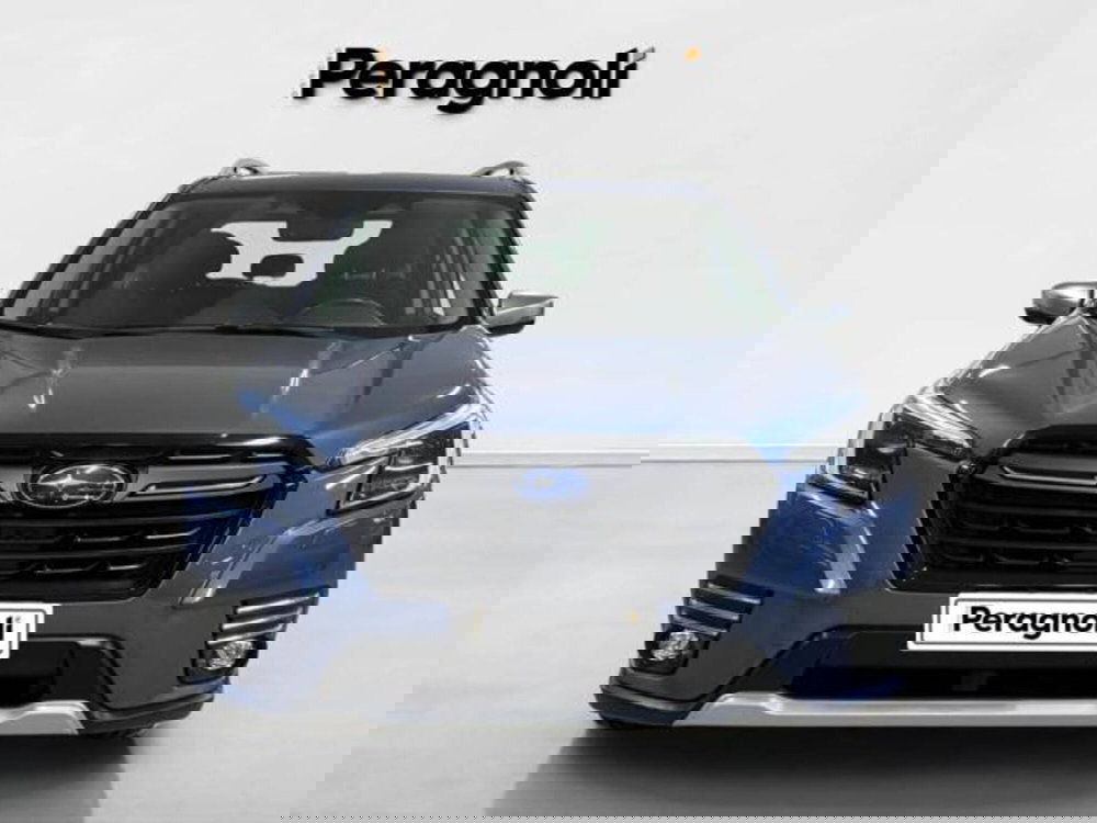 Subaru Forester usata a Firenze (2)