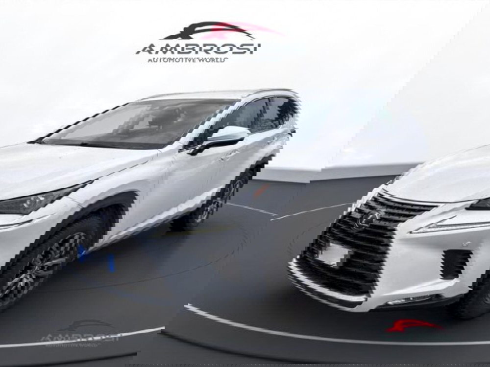 Lexus NX usata a Perugia