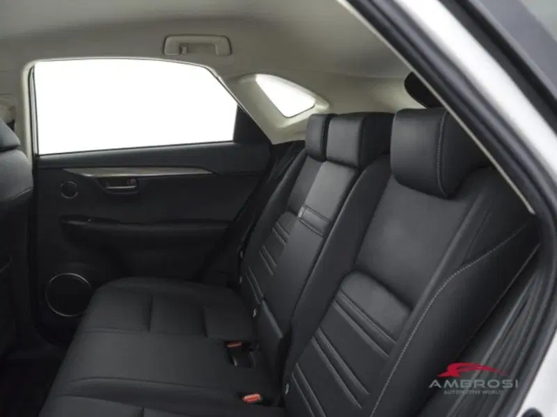 Lexus NX usata a Perugia (10)