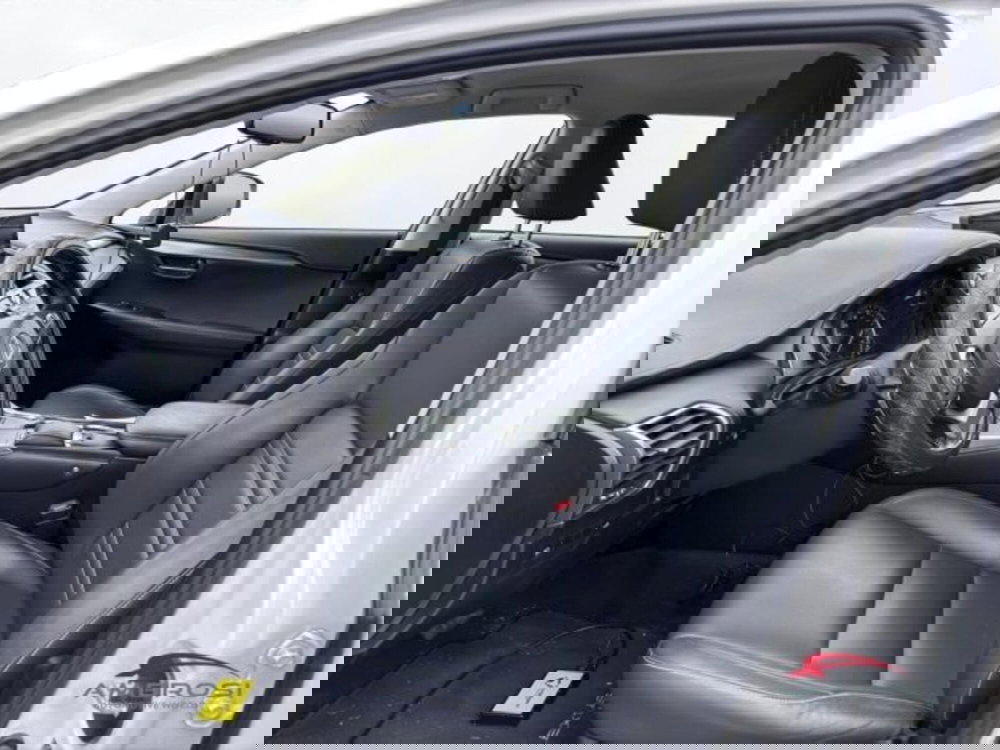 Lexus NX usata a Perugia (10)