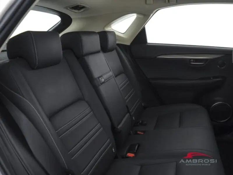Lexus NX usata a Perugia (11)