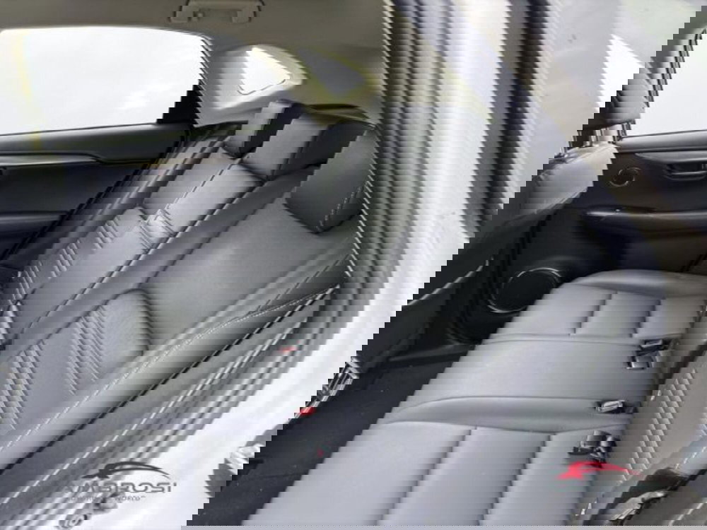 Lexus NX usata a Perugia (11)