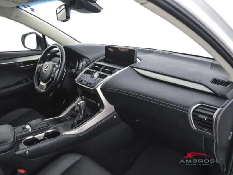 Lexus NX usata a Perugia (12)