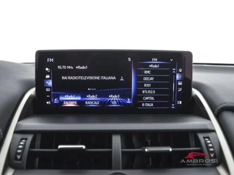 Lexus NX usata a Perugia (14)