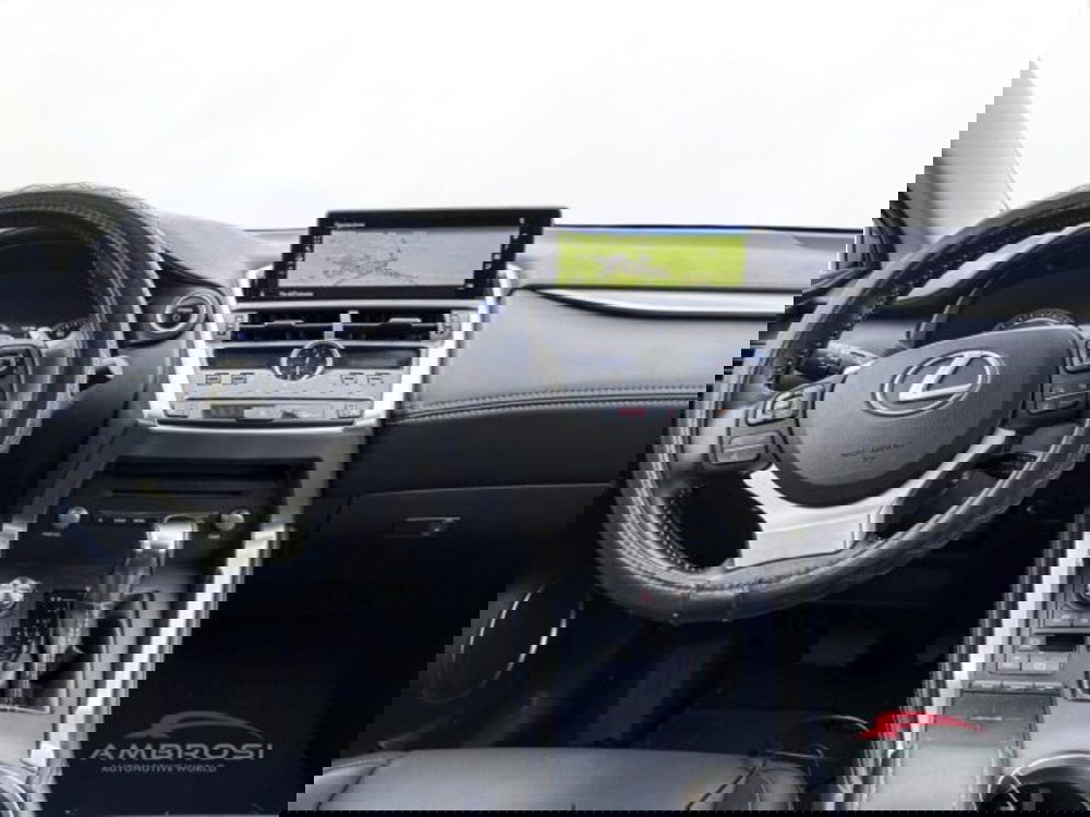 Lexus NX usata a Perugia (15)