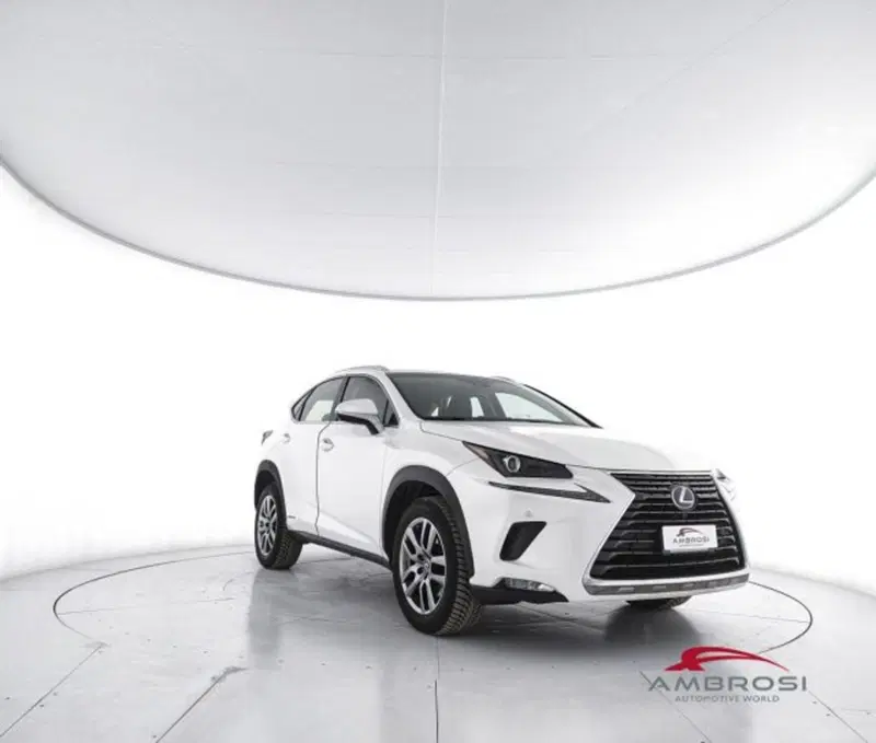 Lexus NX usata a Perugia (2)
