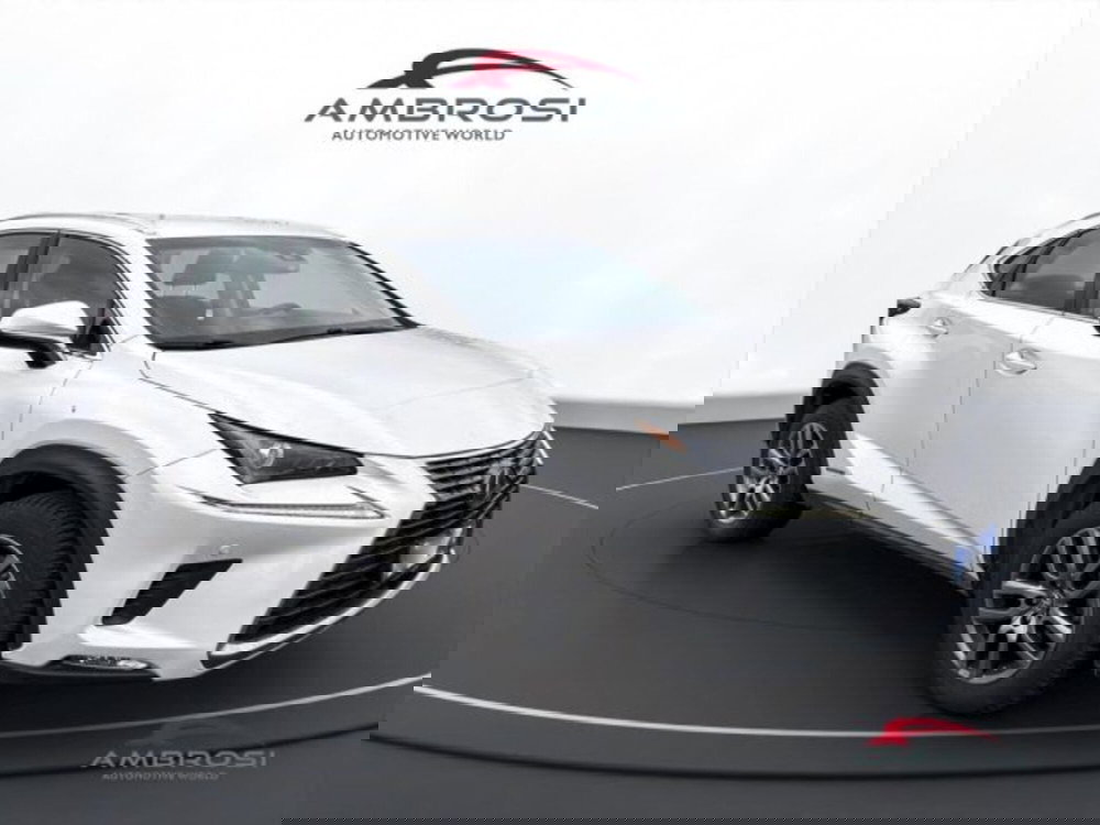 Lexus NX usata a Perugia (2)