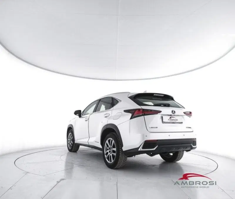 Lexus NX usata a Perugia (4)