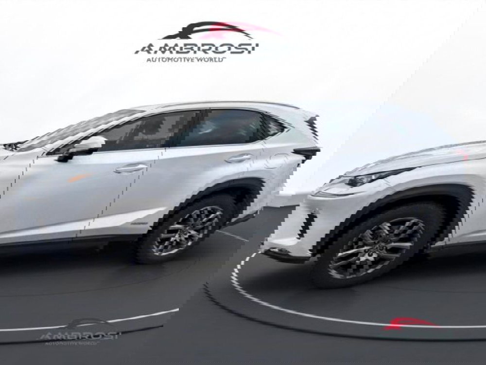 Lexus NX usata a Perugia (6)