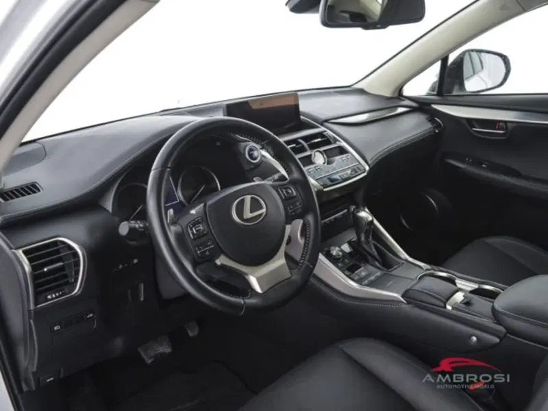 Lexus NX usata a Perugia (8)