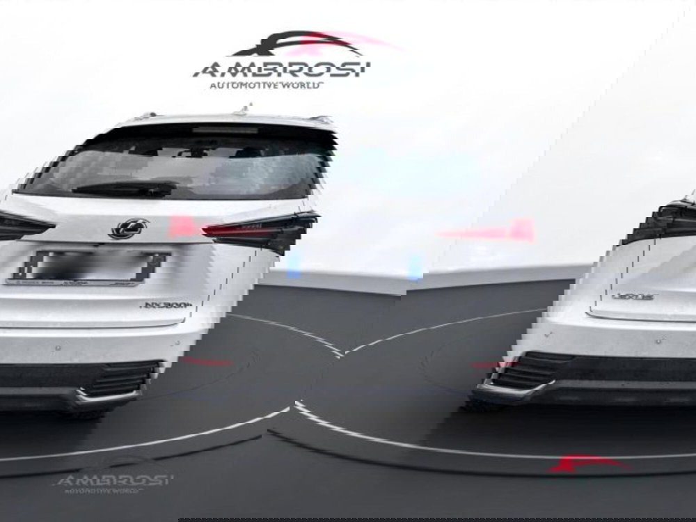 Lexus NX usata a Perugia (8)