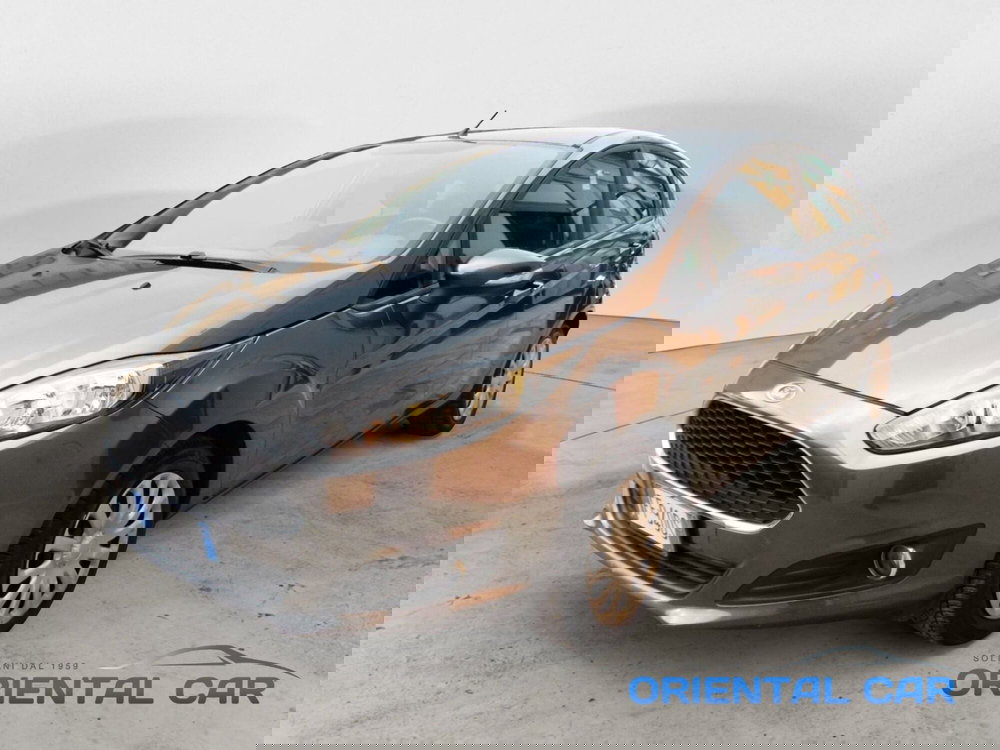 Ford Fiesta usata a La Spezia