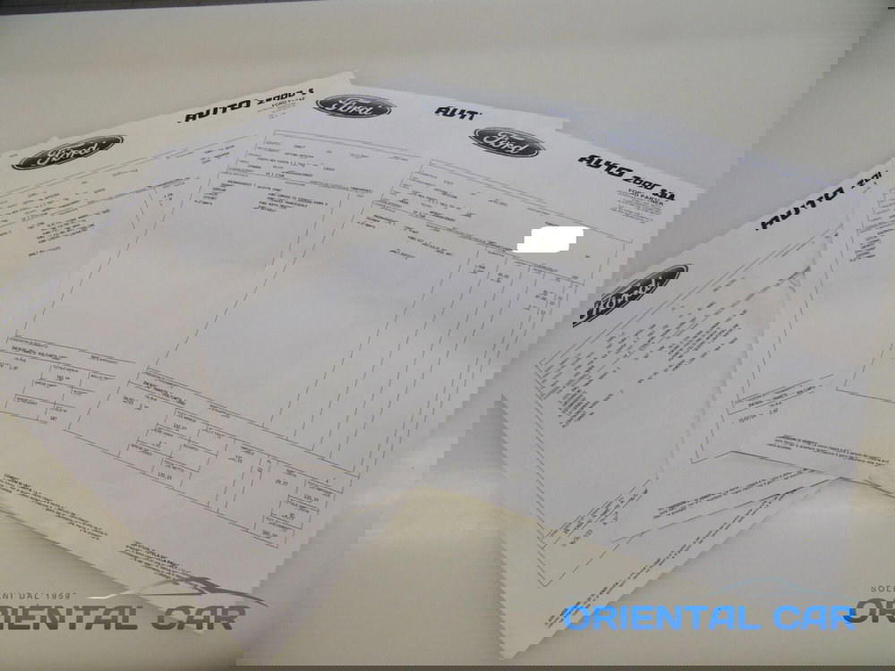 Ford Fiesta usata a La Spezia (13)