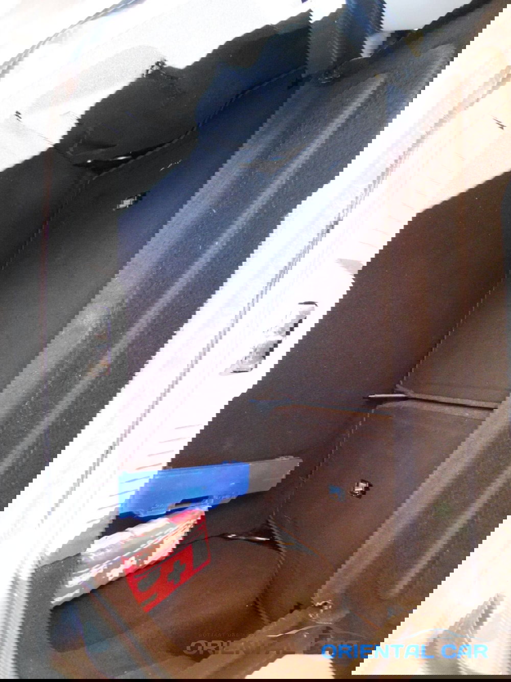 Ford Fiesta usata a La Spezia (17)