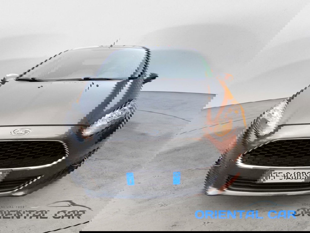 Ford Fiesta usata a La Spezia (2)