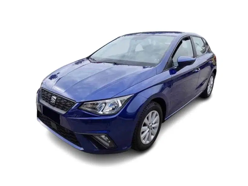 SEAT Ibiza usata a Bari