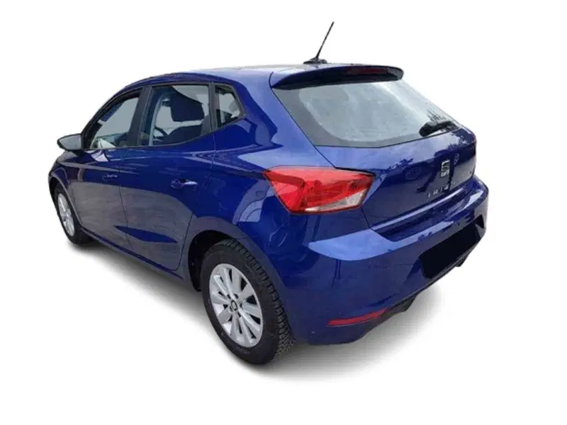 SEAT Ibiza usata a Bari (13)