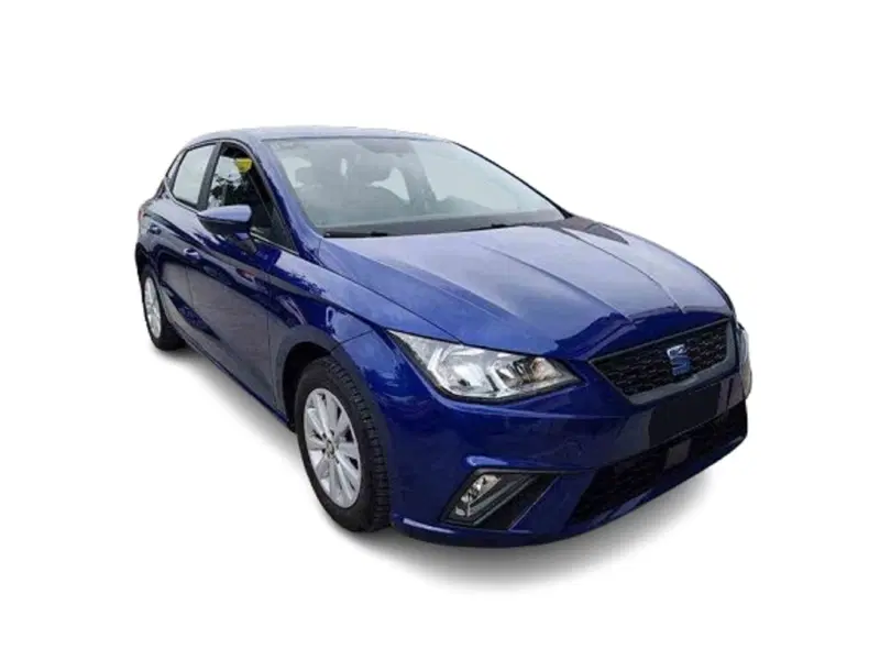 SEAT Ibiza usata a Bari (2)