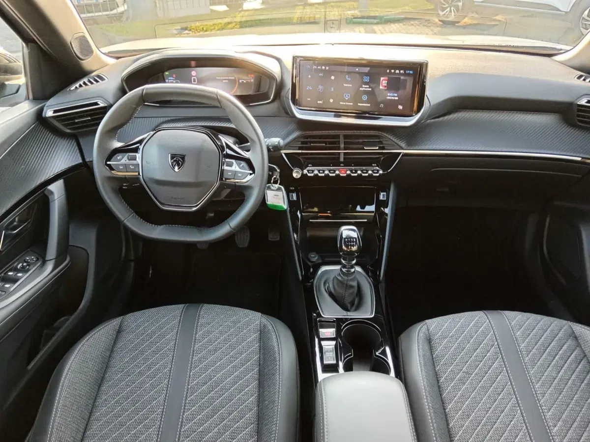Peugeot 2008 usata a Alessandria (15)