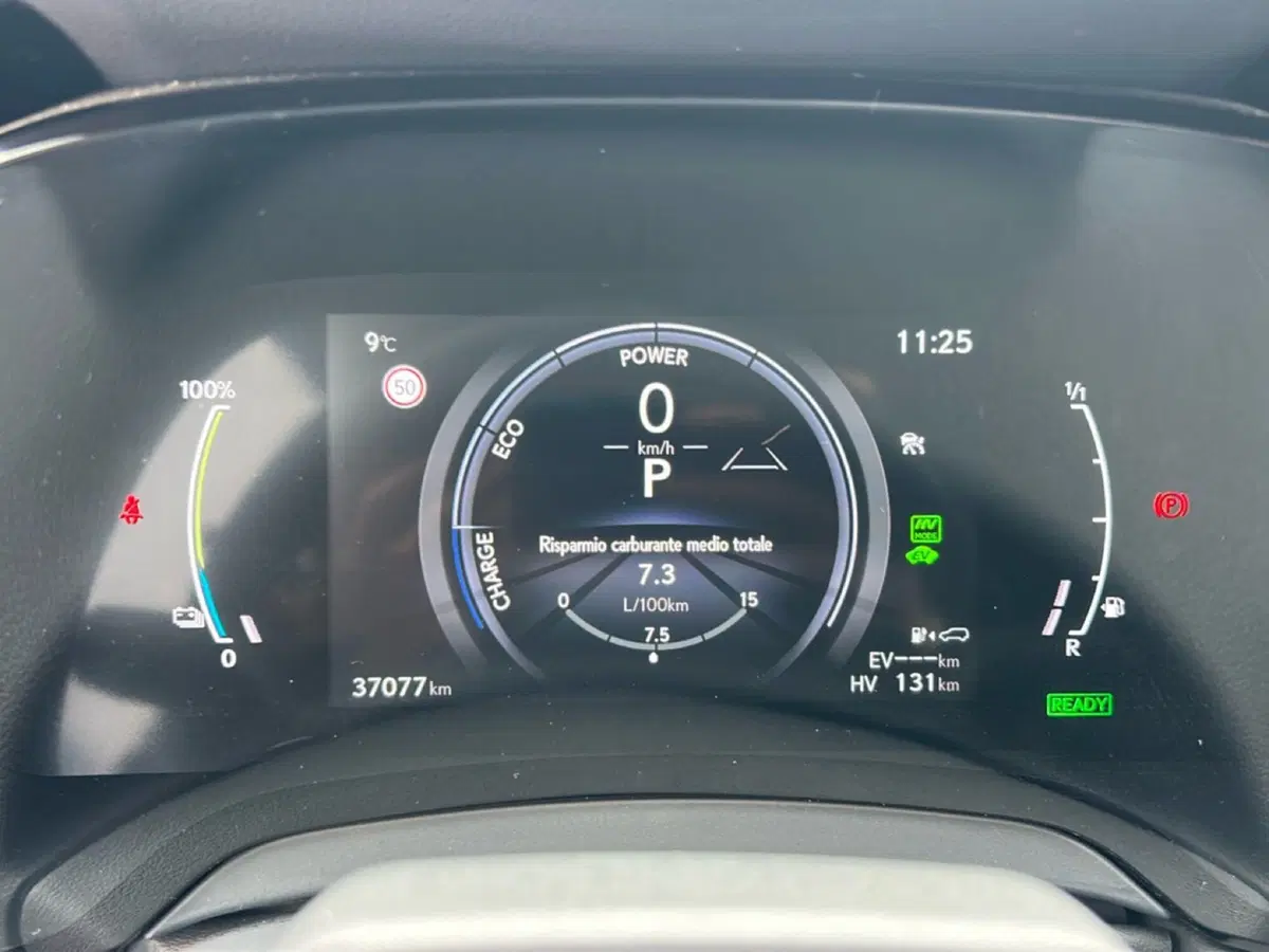 Lexus RX usata a Piacenza (10)