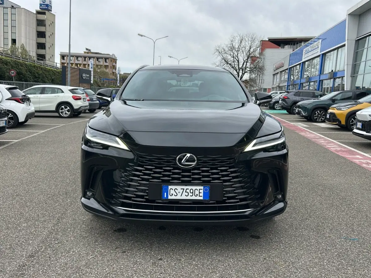 Lexus RX usata a Piacenza (2)